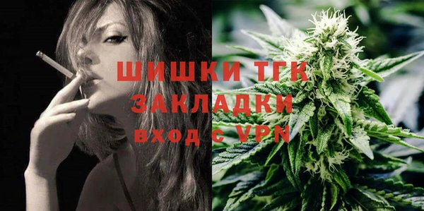 тгк Абаза
